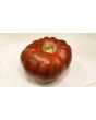 Tomato 'Girl Girl's Weird Thing' 