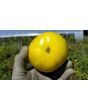 Tomato 'Pork Chop' Seeds (Certified Organic)