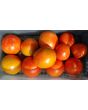 Tomato 'Ruth's Perfect'