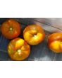 Tomato 'Italian Beefsteak' Seeds (Certified Organic)