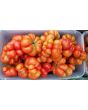 Tomato 'Reisetomate' Seeds (Certified Organic) 