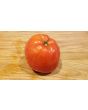 Tomato 'Uncle Johnny's Giant' 