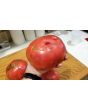Tomato 'Purple Dog Creek' 