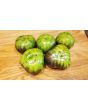 Tomato 'Xanadu Green Goddess'