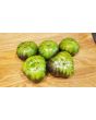 Tomato 'Xanadu Green Goddess'