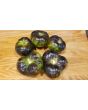 Tomato 'Xanadu Green Goddess'