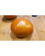 Tomato 'Thorburn's Terra Cotta' 