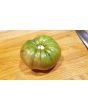 Tomato 'Southern Night'