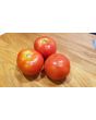 Tomato 'Beaverlodge Slicer' 