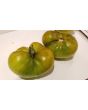 Tomato 'Cherokee Green'