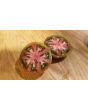 Tomato 'Black Sea Man' Seeds (Certified Organic)