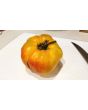 Tomato 'Old German' 