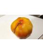 Tomato 'Old German' 