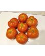 Tomato 'Mountain Princess'