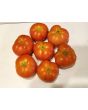 Tomato 'Mountain Princess'