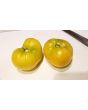 Tomato 'Basinga' 