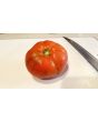 Tomato 'Carmello'
