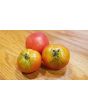 Tomato 'Variegated' AKA 'Splash of Cream'