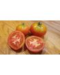 Tomato 'Variegated' AKA 'Splash of Cream'