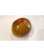 Tomato 'Black Prince'