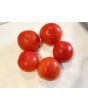 Tomato 'Moneymaker'