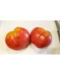 Tomato 'Monkey Ass'