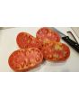Tomato 'Monkey Ass'