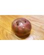 Tomato 'Pierce's Pride' Seeds (Certified Organic)