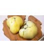 Tomato 'Great White'
