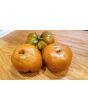 Tomato 'Thorburn's Terra Cotta' 