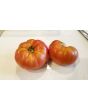 Tomato 'New Big Dwarf'