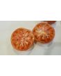 Tomato 'New Big Dwarf'