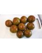 Tomato 'Nyagous'
