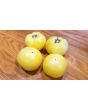 Tomato 'White Bush' 