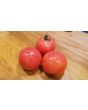 Tomato 'Ruth's Perfect'