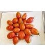 Tomato 'Napoli' 