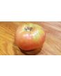 Tomato 'Omar's Lebanese' 