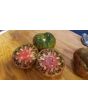 Tomato 'Black Altai' Seeds (Certified Organic)