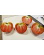 Tomato 'Monomakh's Hat'