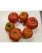 Tomato 'Moskvich' Seeds (Certified Organic)
