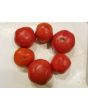 Tomato 'Moskvich' Seeds (Certified Organic)