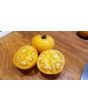 Tomato 'Tangerine'