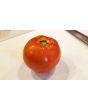 Tomato 'Cuostralee'