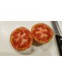 Tomato 'Cuostralee'
