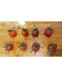 Tomato 'Renegade Spider' 