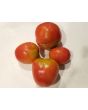 Tomato 'Amerikanskiy Sladkiy' 