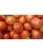 Tomato 'Russian Queen' 