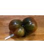 Tomato 'Southern Night'
