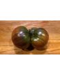 Tomato 'Southern Night'