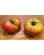 Tomato 'Red Rose' Seeds (Certified Organic) 